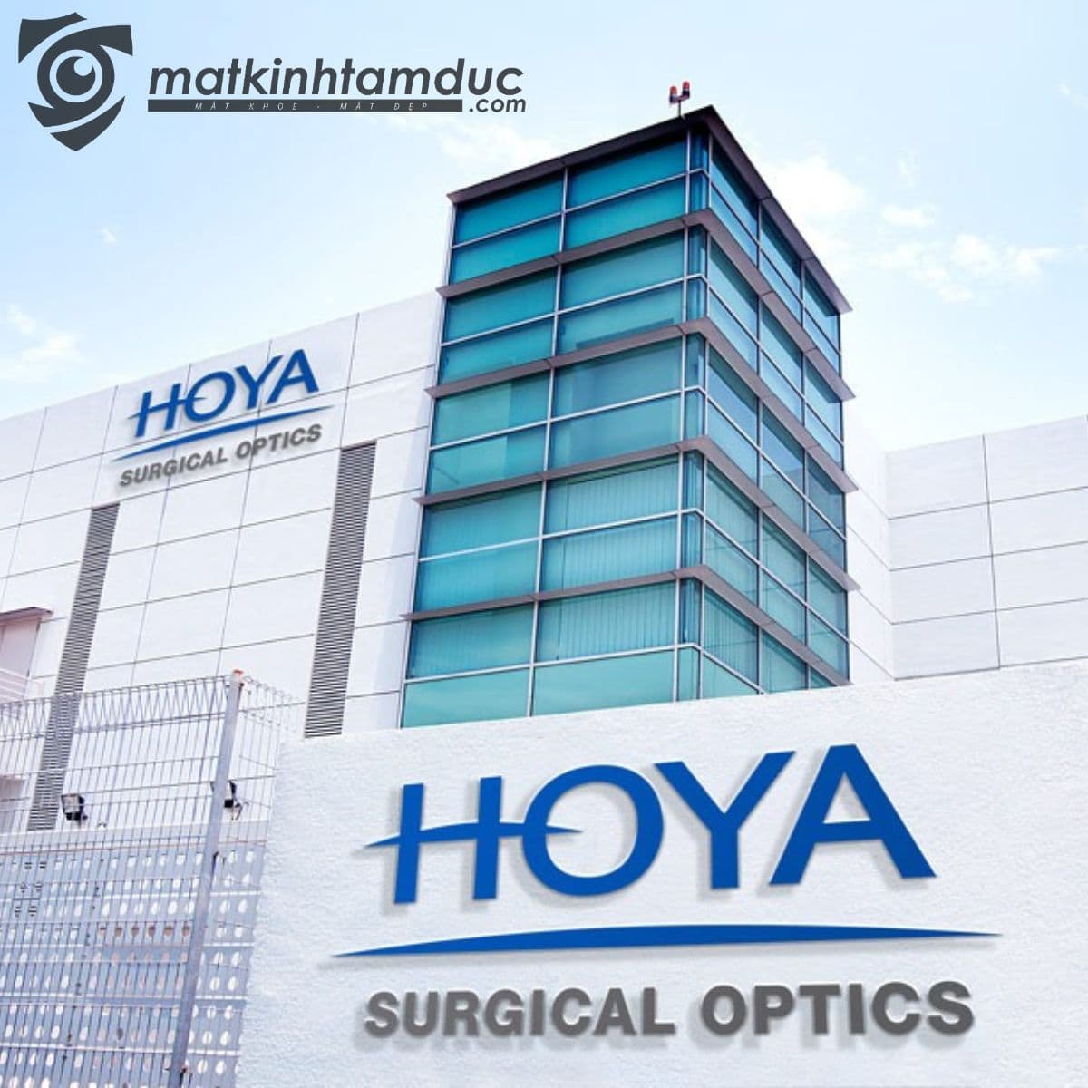 Tròng kính HOYA Nulux 1.74 HVLL - Ảnh 17