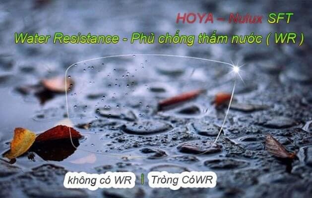 Tròng kính HOYA Nulux 1.60 SFT - Ảnh 9