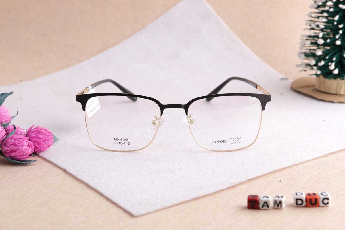 Gọng kính Aopoess 6049 - Ảnh 2