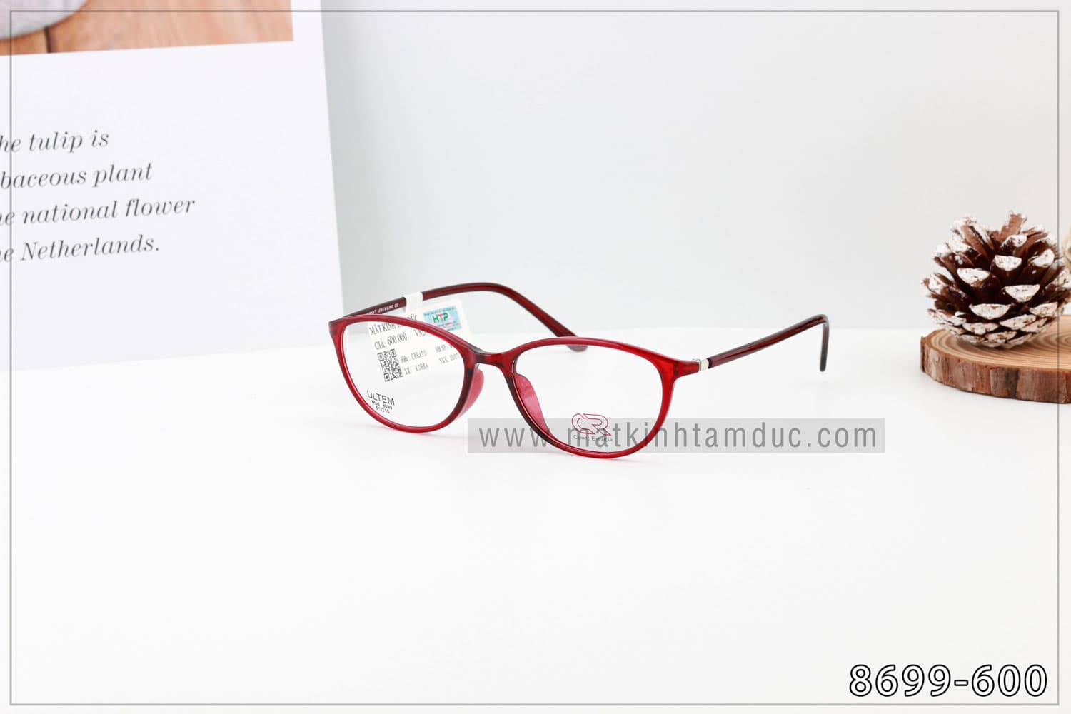 Gọng kính CERATO 8699 - Ảnh 9
