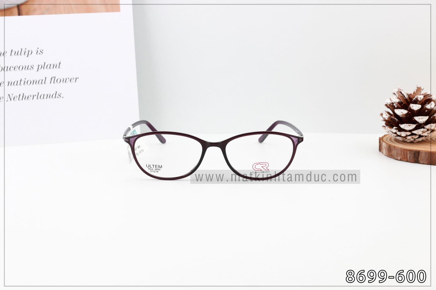 Gọng kính CERATO 8699 - Ảnh 10
