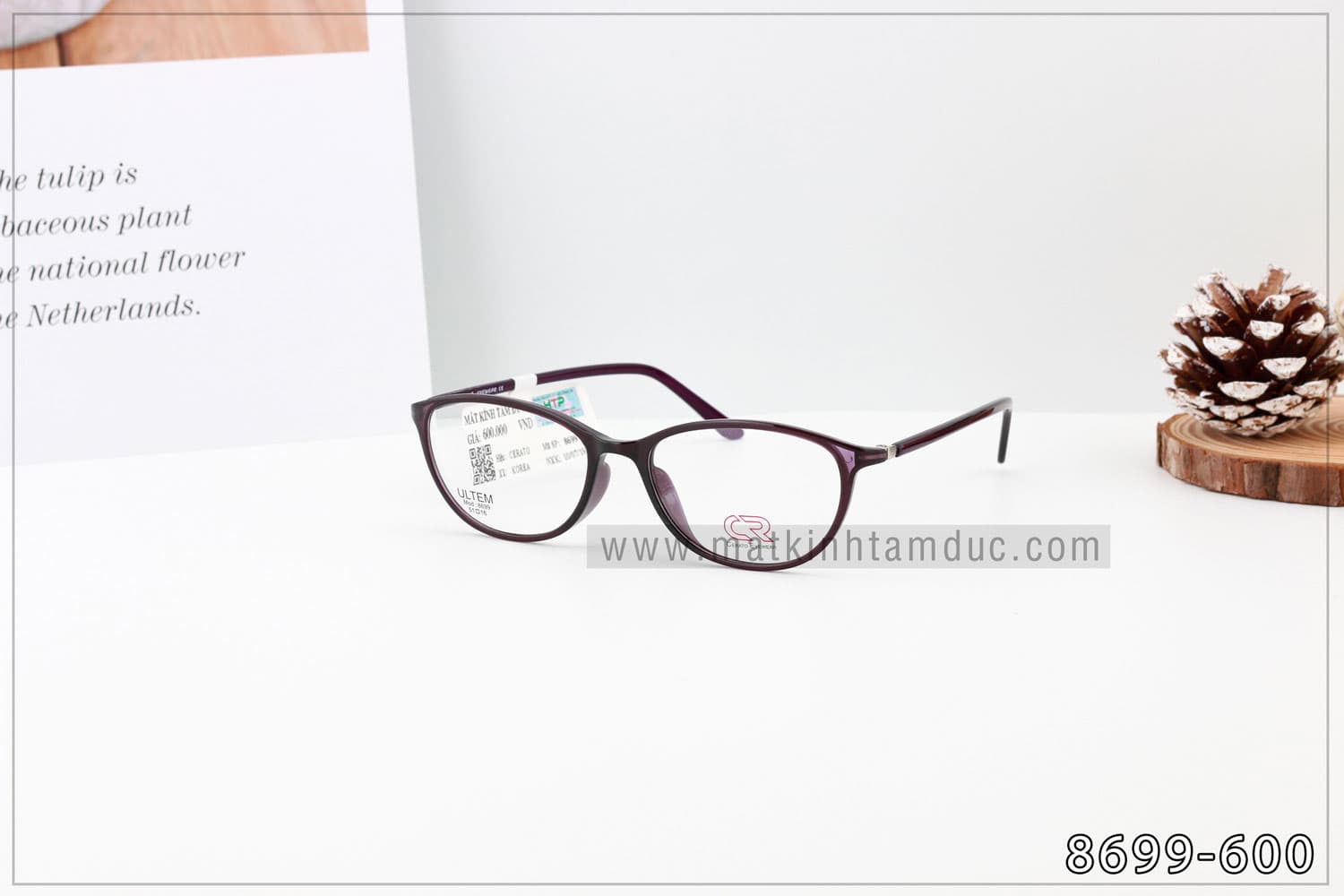 Gọng kính CERATO 8699 - Ảnh 11