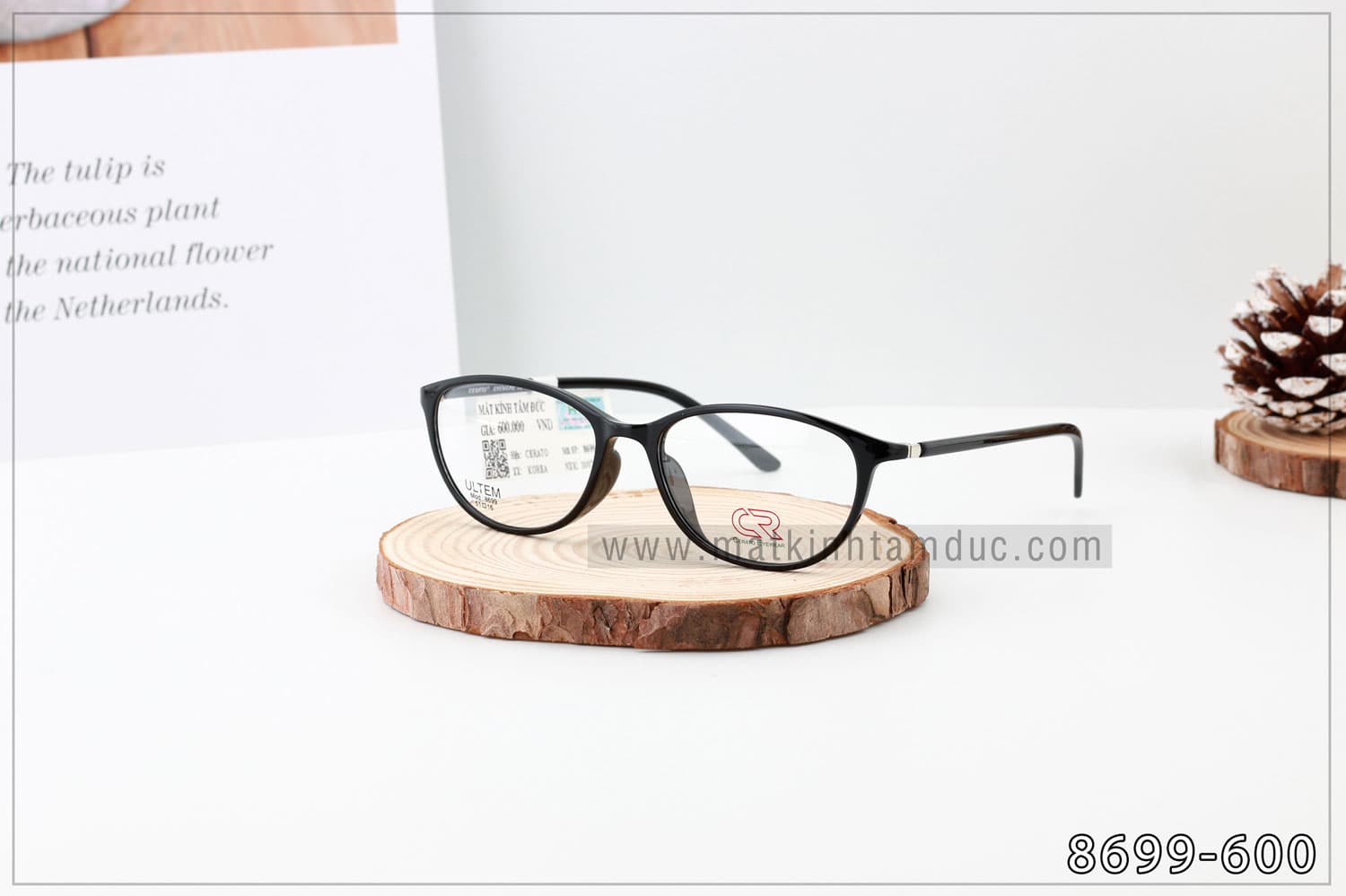Gọng kính CERATO 8699 - Ảnh 1