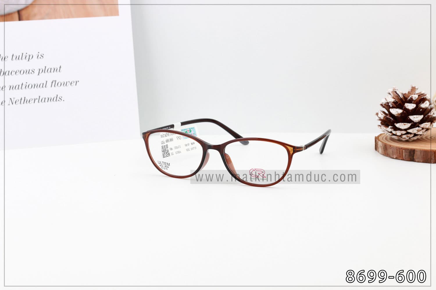 Gọng kính CERATO 8699 - Ảnh 3