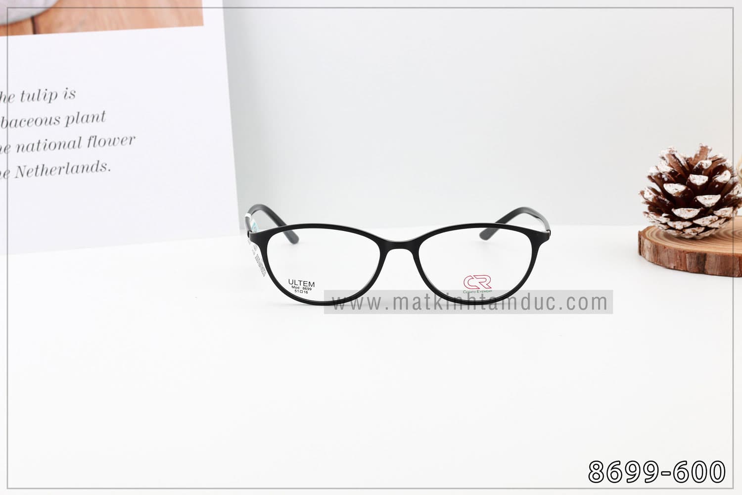 Gọng kính CERATO 8699 - Ảnh 4