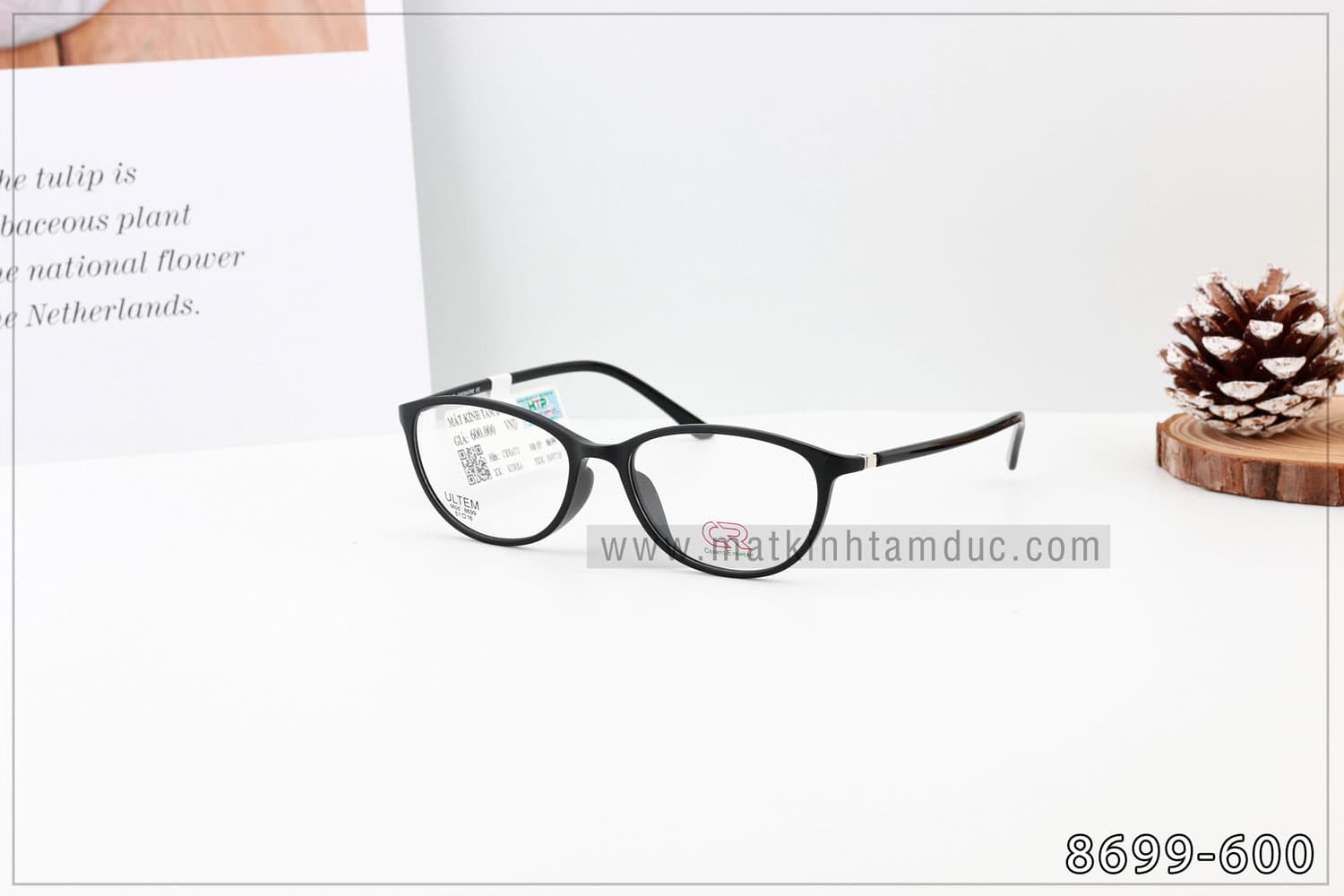 Gọng kính CERATO 8699 - Ảnh 5