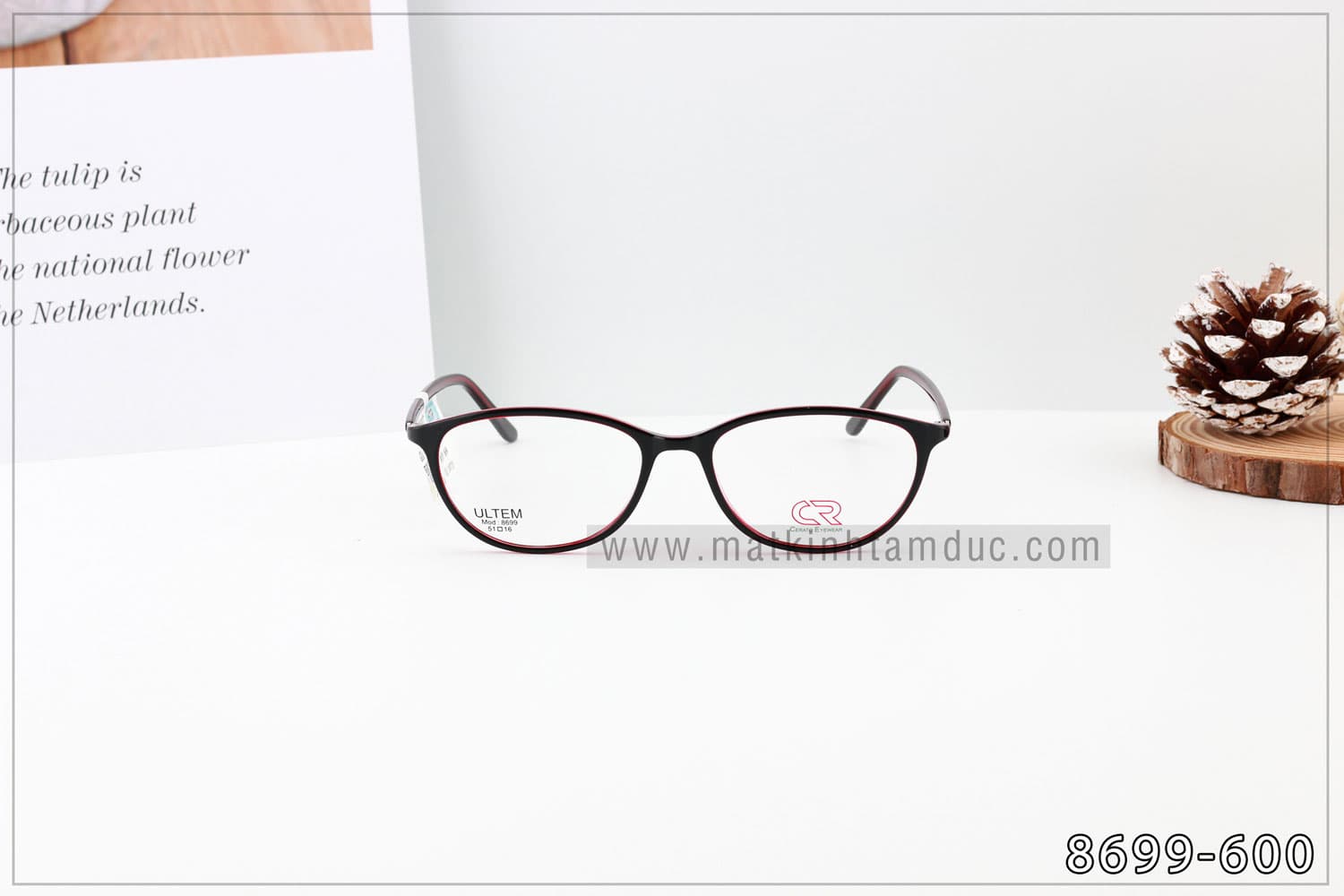 Gọng kính CERATO 8699 - Ảnh 6