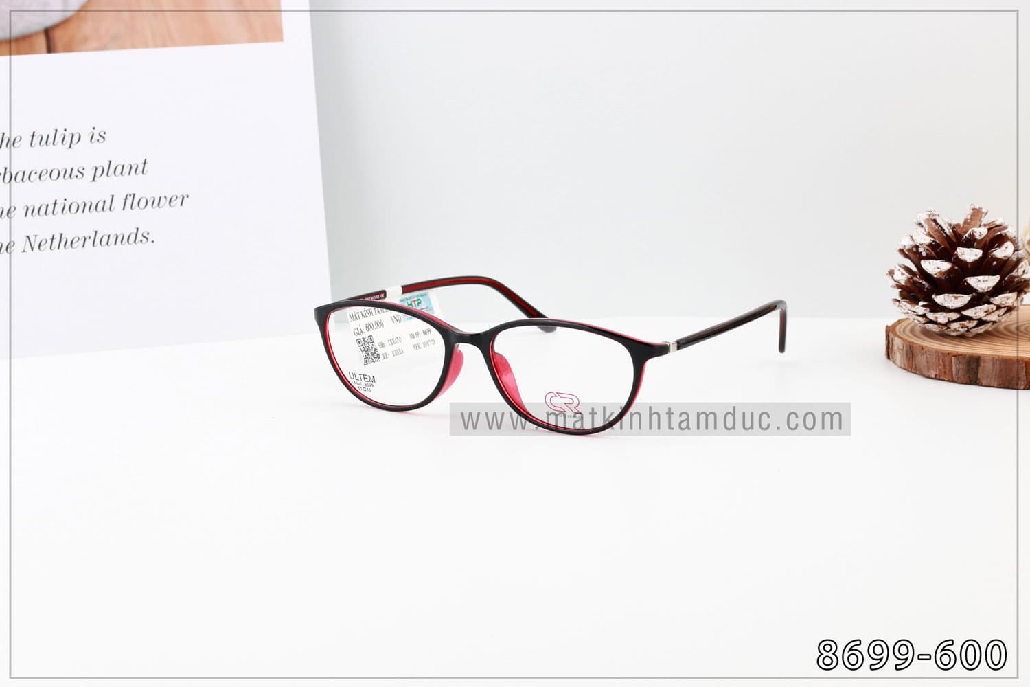 Gọng kính CERATO 8699 - Ảnh 7
