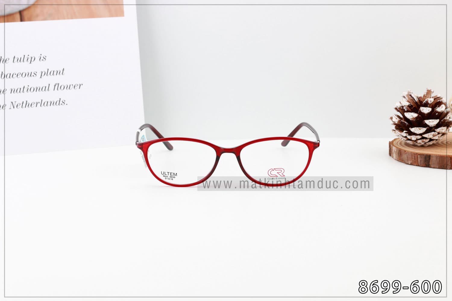 Gọng kính CERATO 8699 - Ảnh 8