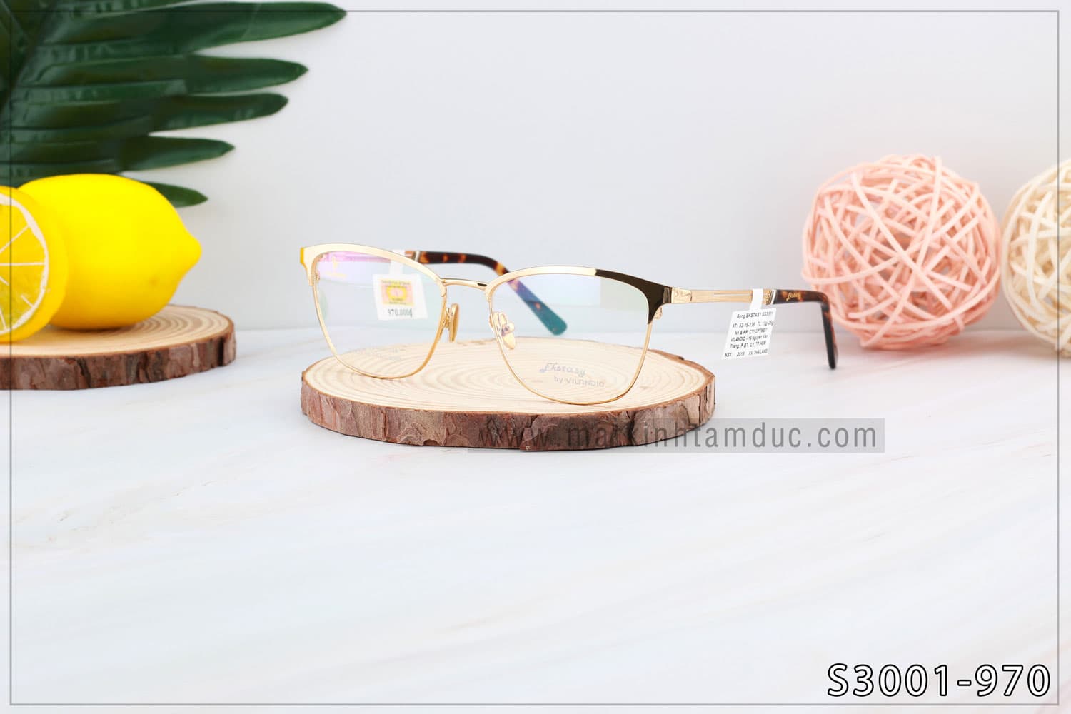 Gọng kính Vilandio FKSTACYS S3001 - Ảnh 8