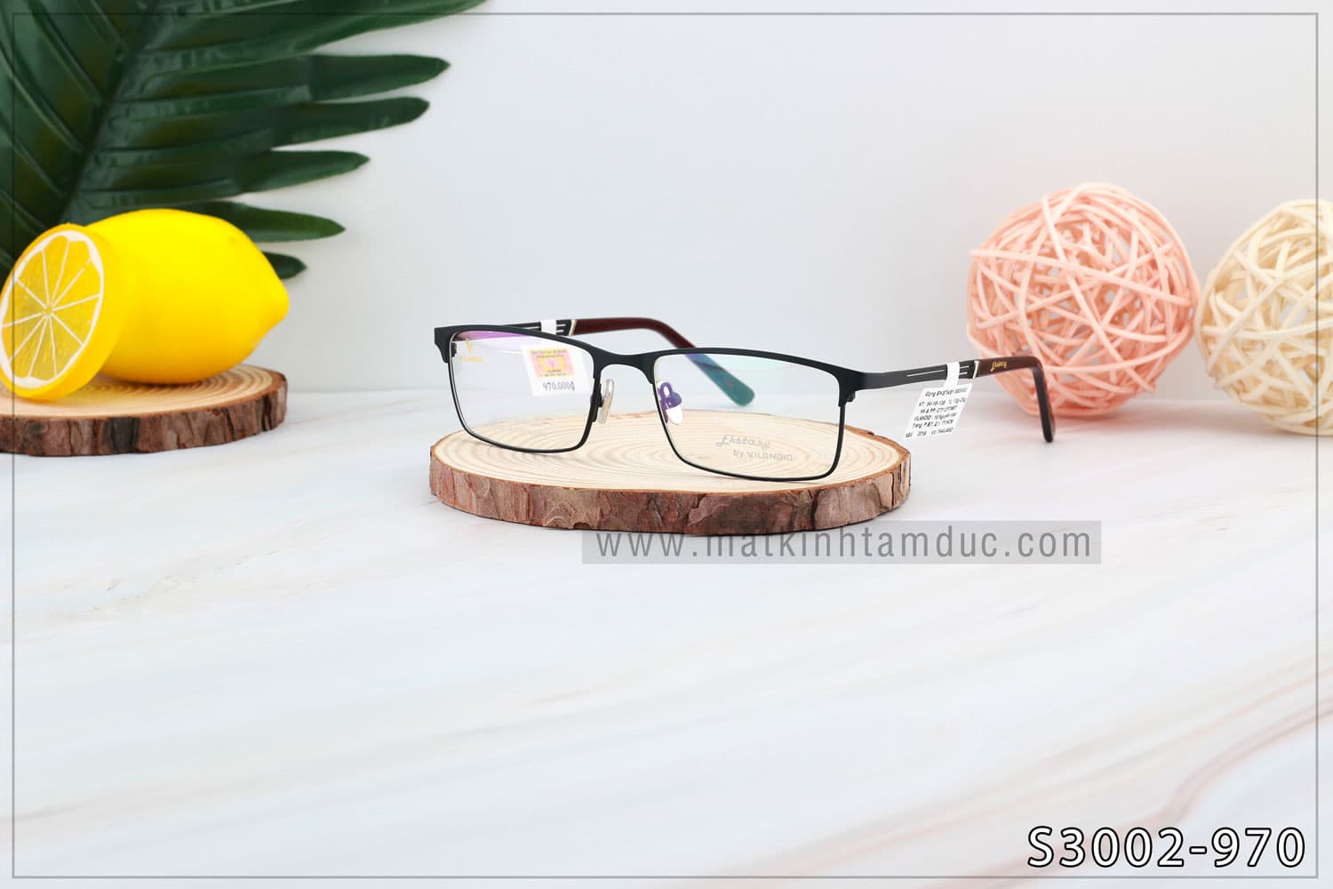 Gọng kính Vilandio FKSTACYS S3002 - Ảnh 1