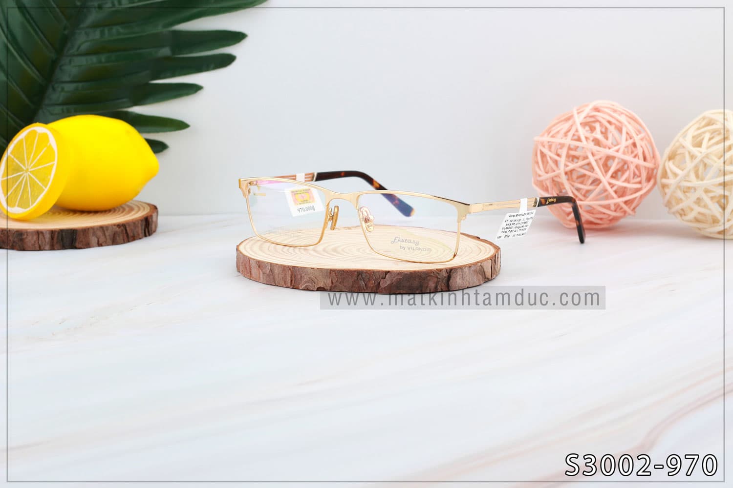 Gọng kính Vilandio FKSTACYS S3002 - Ảnh 5