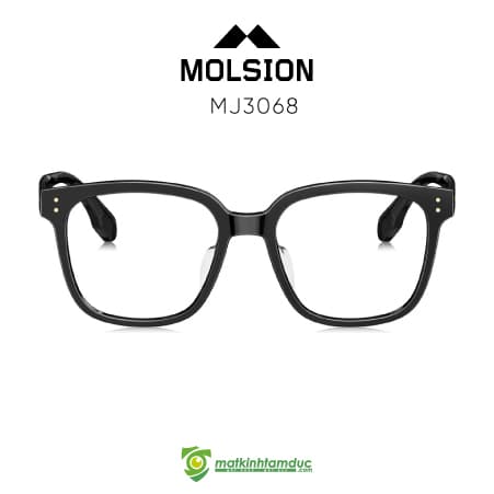 Gọng kính MOLSION MJ3068 - Ảnh 1