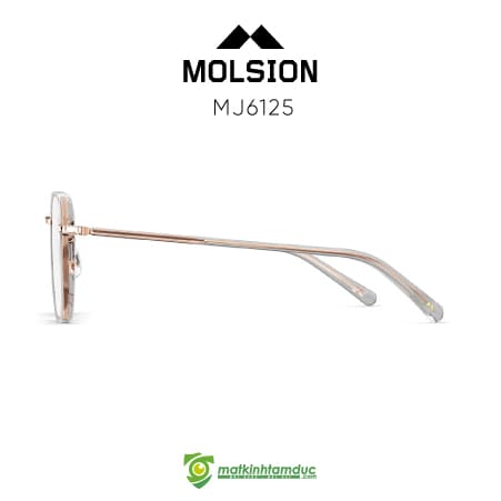 Gọng kính MOLSION MJ6125 - Ảnh 2