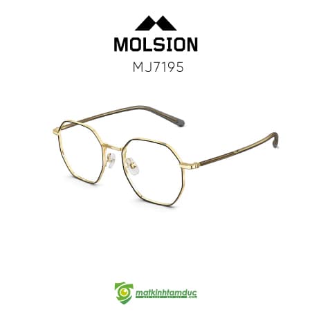 Gọng kính MOLSION MJ7195 - Ảnh 2