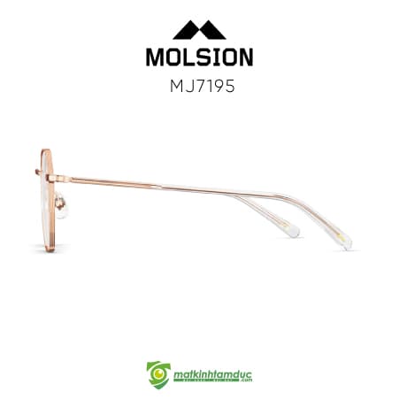 Gọng kính MOLSION MJ7195 - Ảnh 3