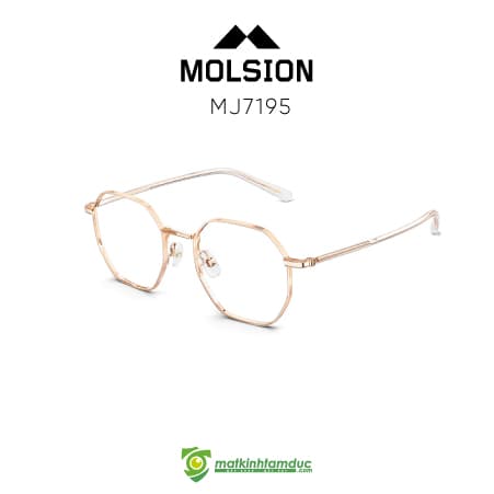 Gọng kính MOLSION MJ7195 - Ảnh 5