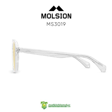 Kính Mát MOLSION MS3019 - Ảnh 3