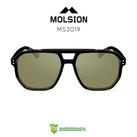 Kính Mát MOLSION MS3019 - Ảnh 9