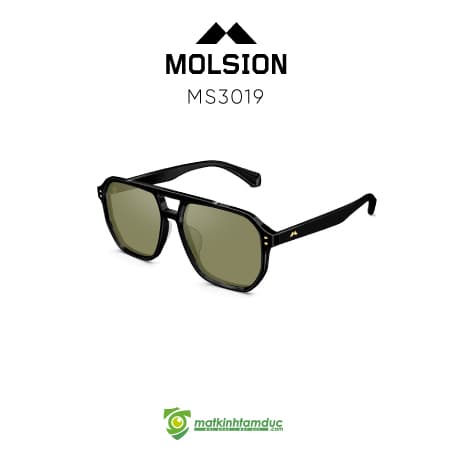 Kính Mát MOLSION MS3019 - Ảnh 7