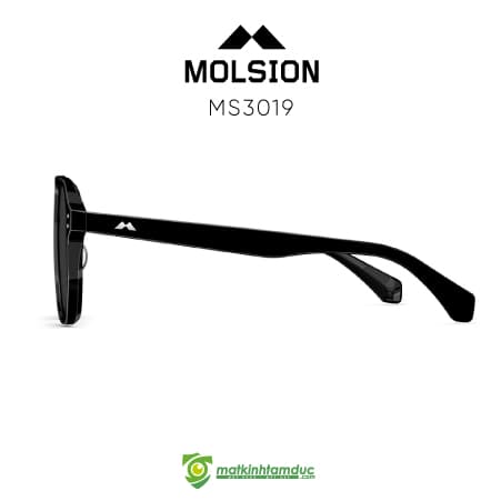 Kính Mát MOLSION MS3019 - Ảnh 6