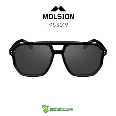 Kính Mát MOLSION MS3019 - Ảnh 1