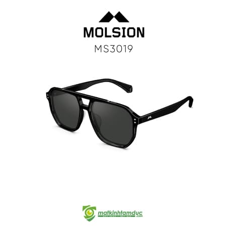 Kính Mát MOLSION MS3019 - Ảnh 4