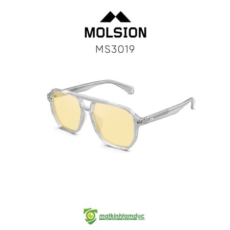 Kính Mát MOLSION MS3019 - Ảnh 8