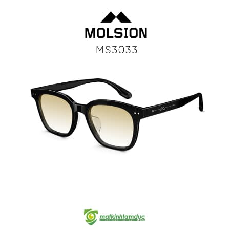 Kính Mát MOLSION MS3033 - Ảnh 9