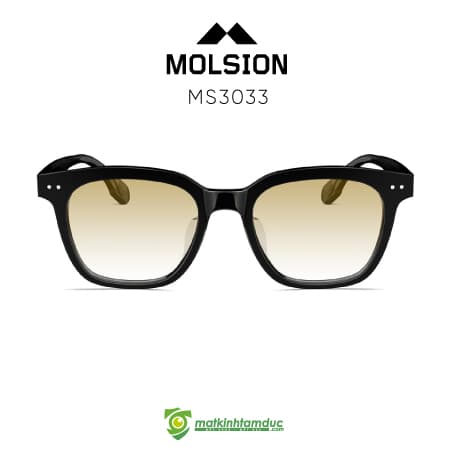 Kính Mát MOLSION MS3033 - Ảnh 5