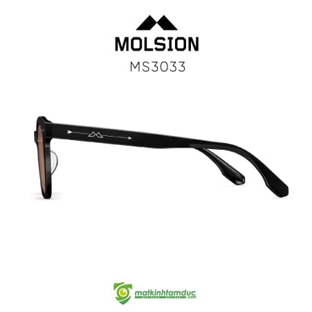 Kính Mát MOLSION MS3033 - Ảnh 4