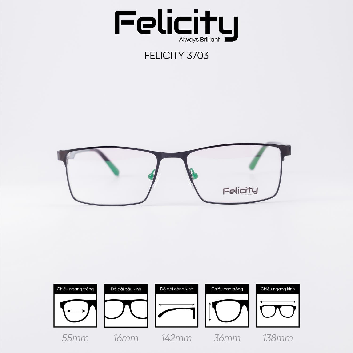 Gọng kính FELICITY 3703