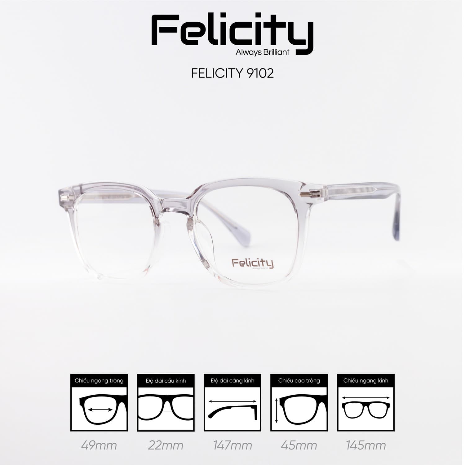 Gọng kính FELICITY 9102 - Ảnh 6