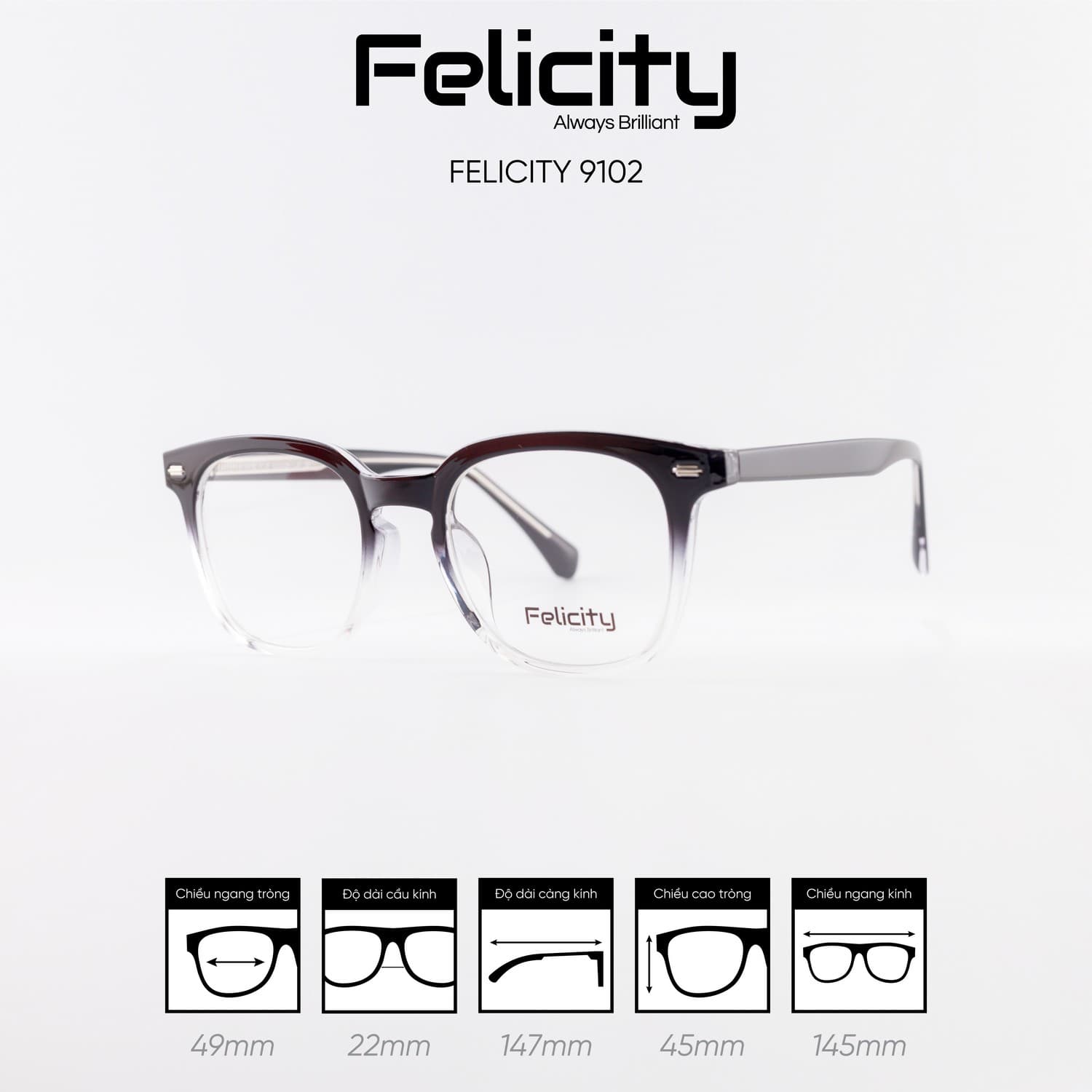 Gọng kính FELICITY 9102 - Ảnh 4