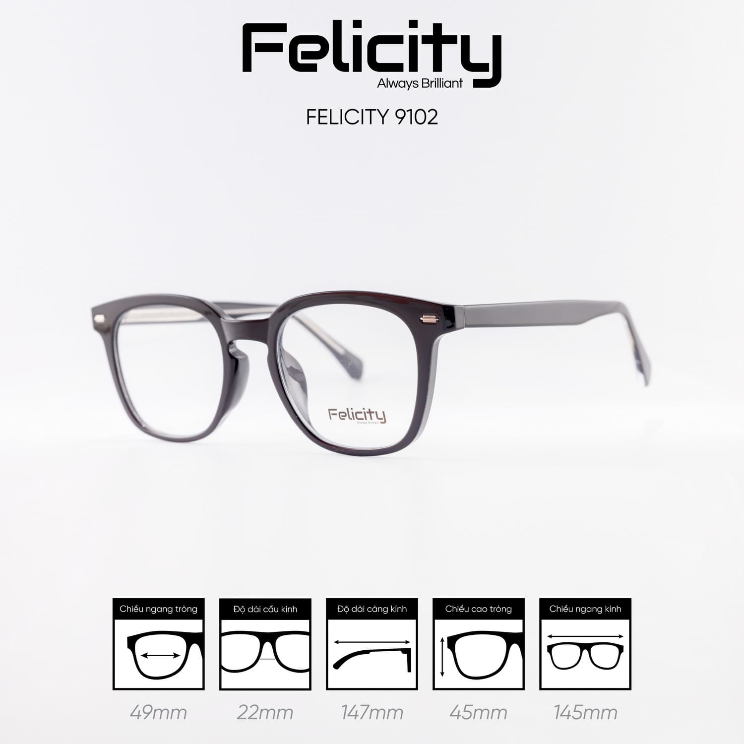 Gọng kính FELICITY 9102 - Ảnh 3