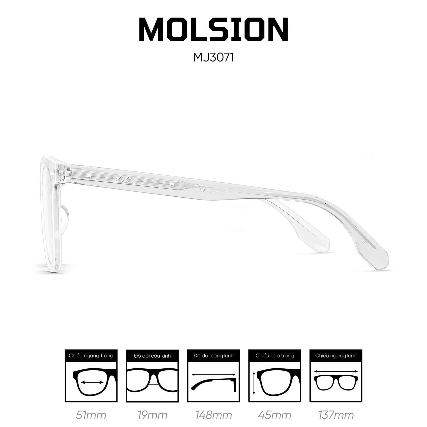 Gọng kính MOLSION MJ3071 - Ảnh 6