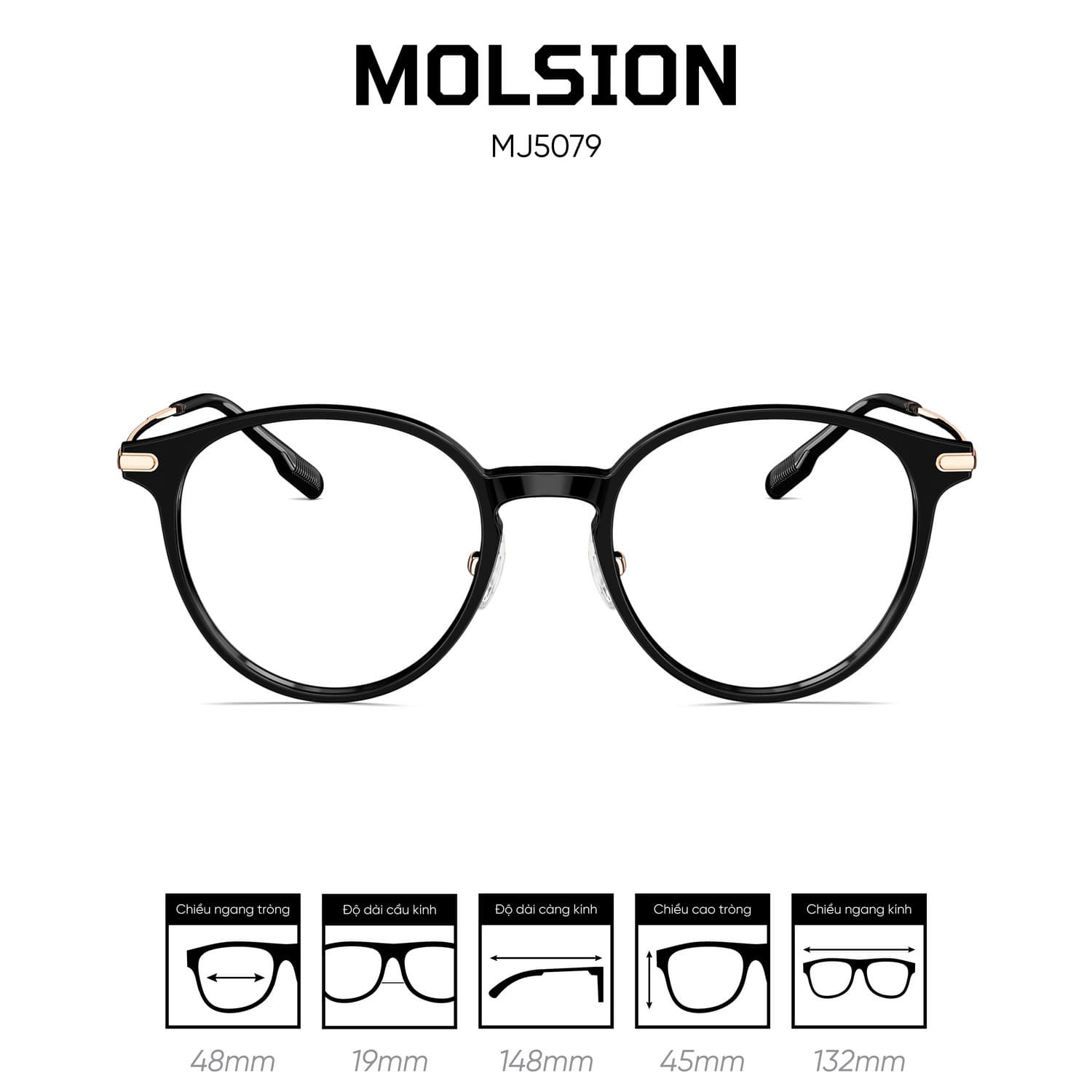 Gọng kính MOLSION MJ5079 - Ảnh 1