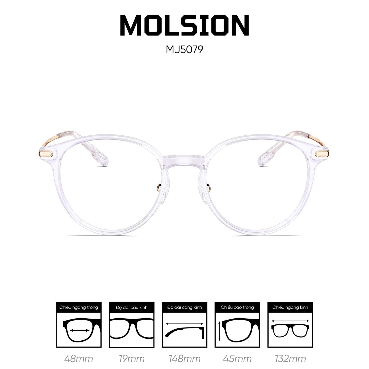 Gọng kính MOLSION MJ5079 - Ảnh 6