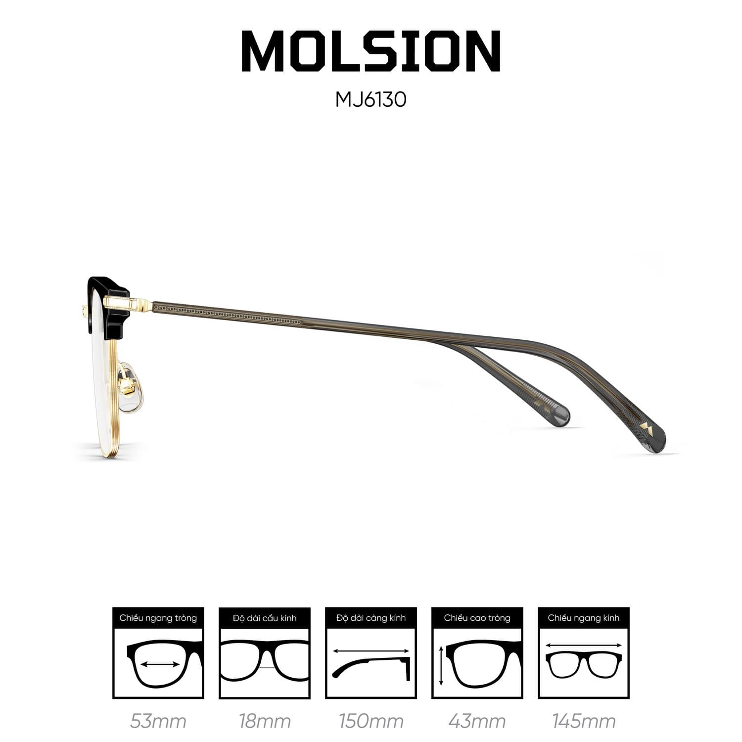 Gọng kính MOLSION MJ6130 - Ảnh 10
