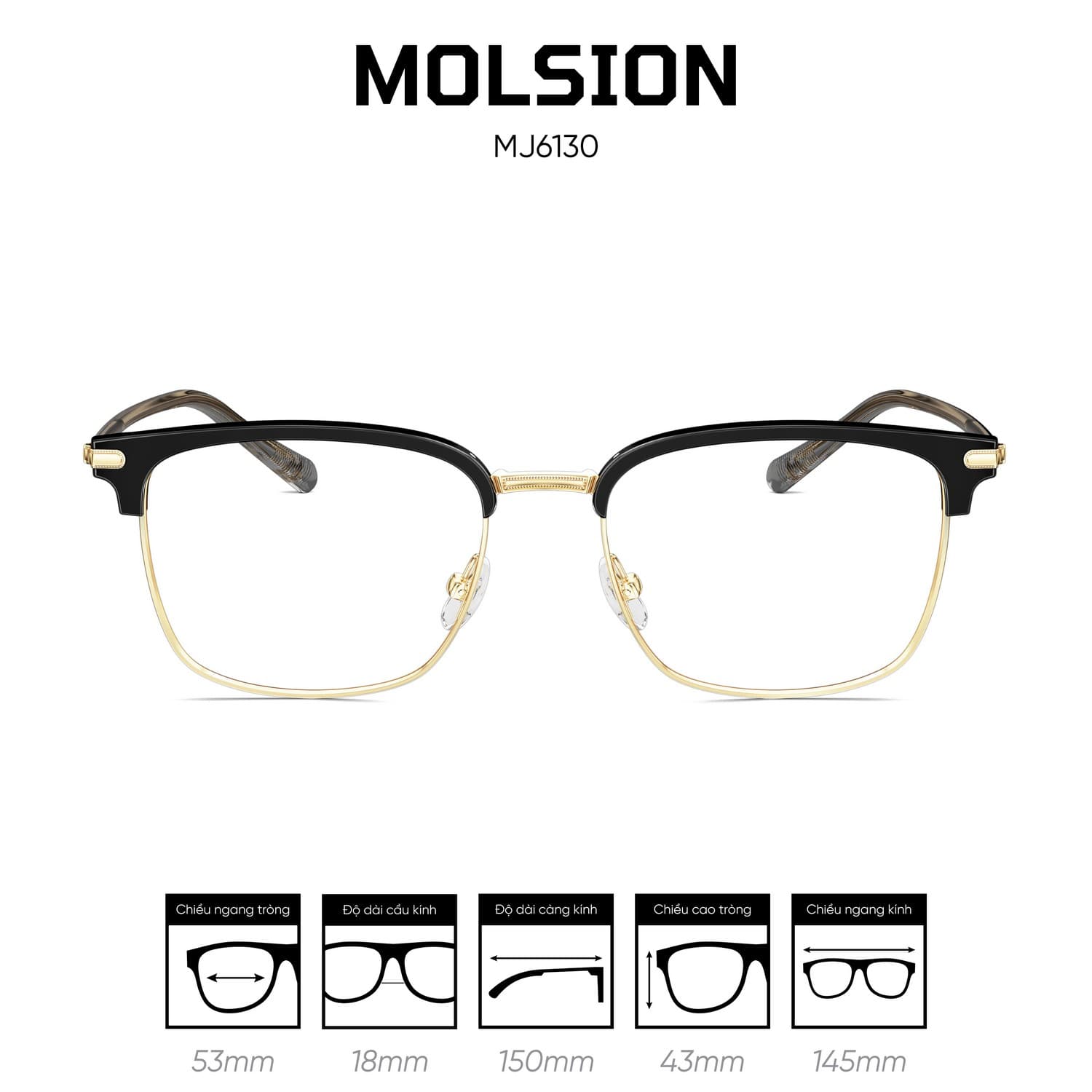 Gọng kính MOLSION MJ6130 - Ảnh 1