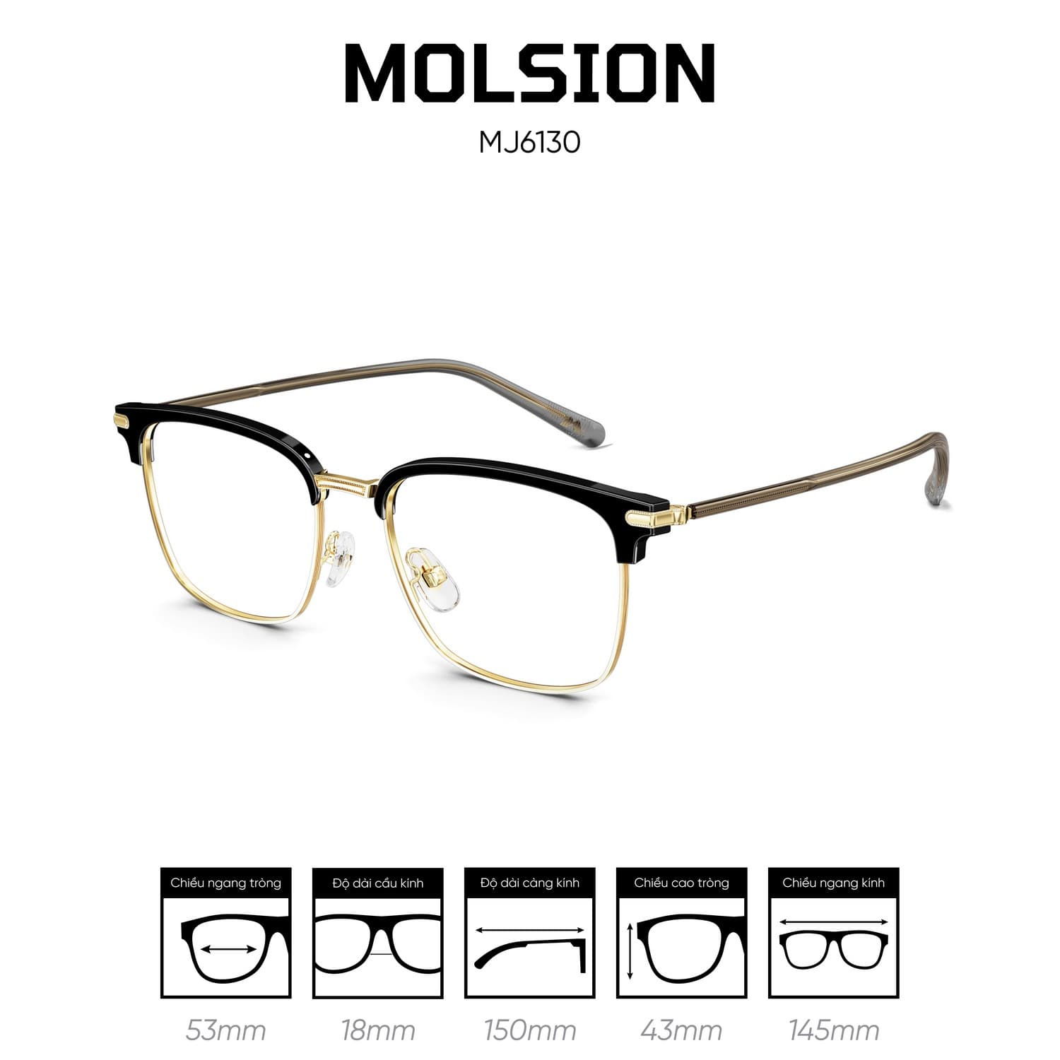 Gọng kính MOLSION MJ6130 - Ảnh 9