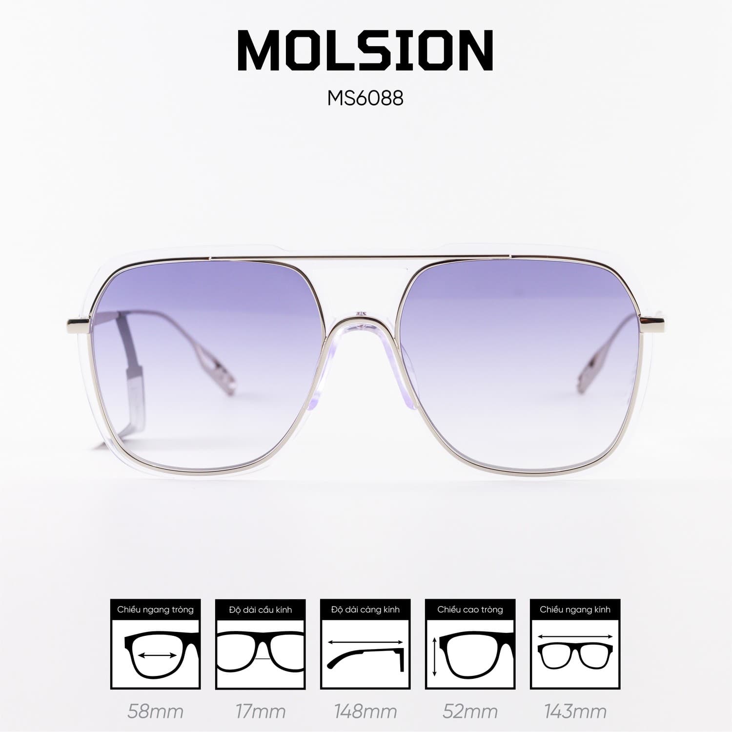 Kính mát MOLSION MS6088 - Ảnh 1