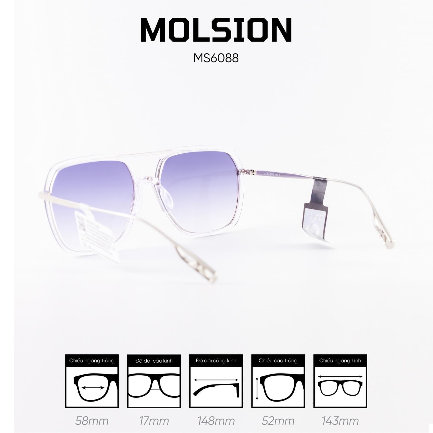 Kính mát MOLSION MS6088 - Ảnh 6