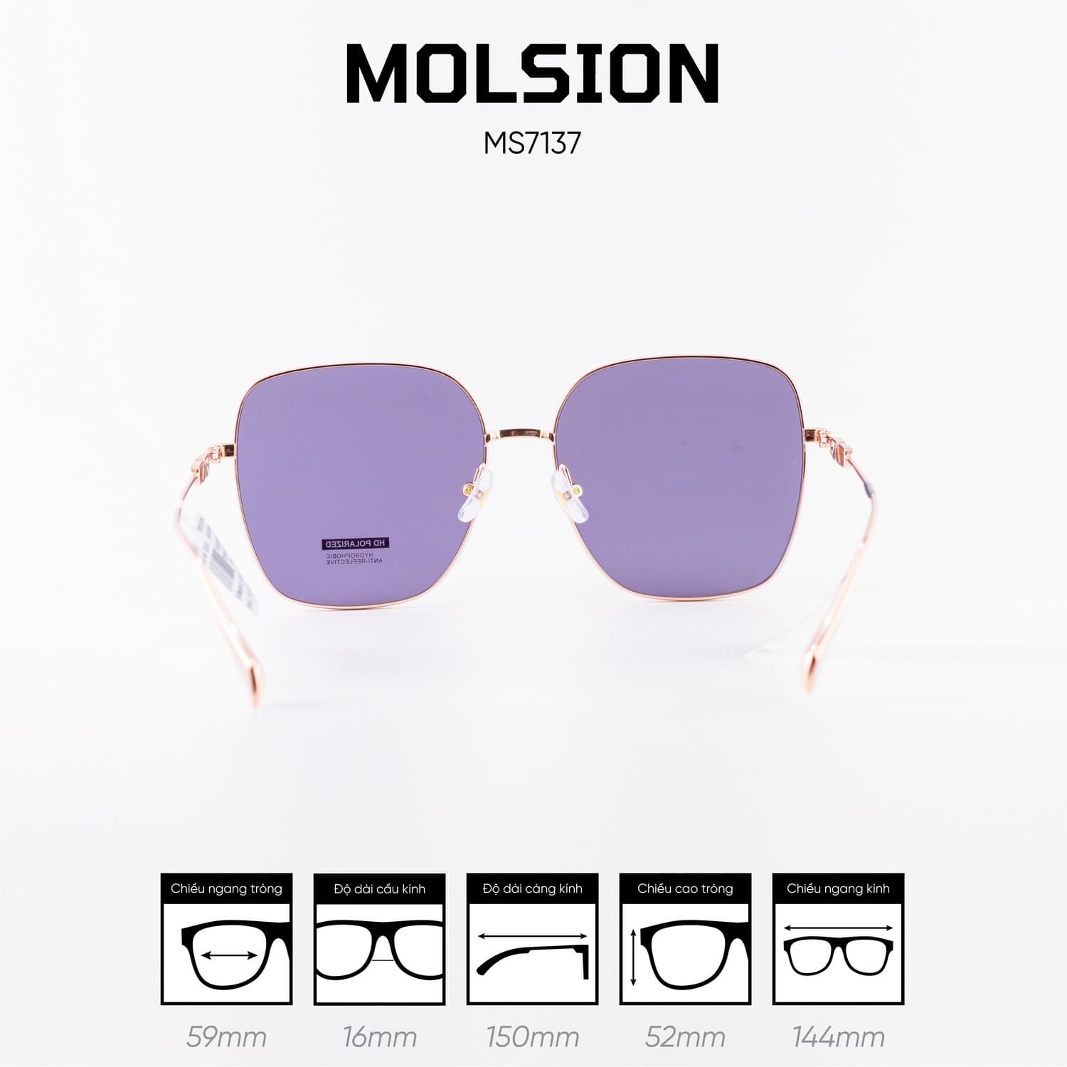 Kính mát MOLSION MS7137 - Ảnh 2