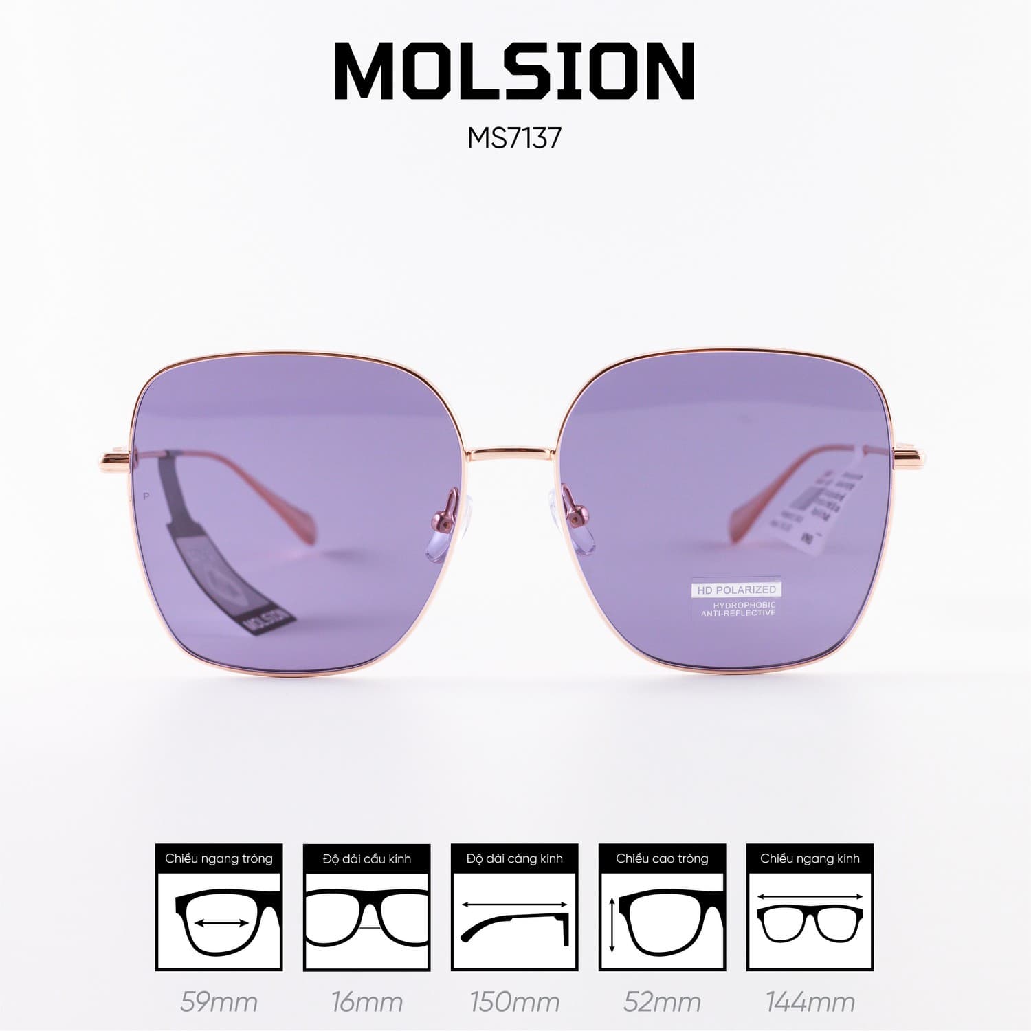 Kính mát MOLSION MS7137 - Ảnh 1