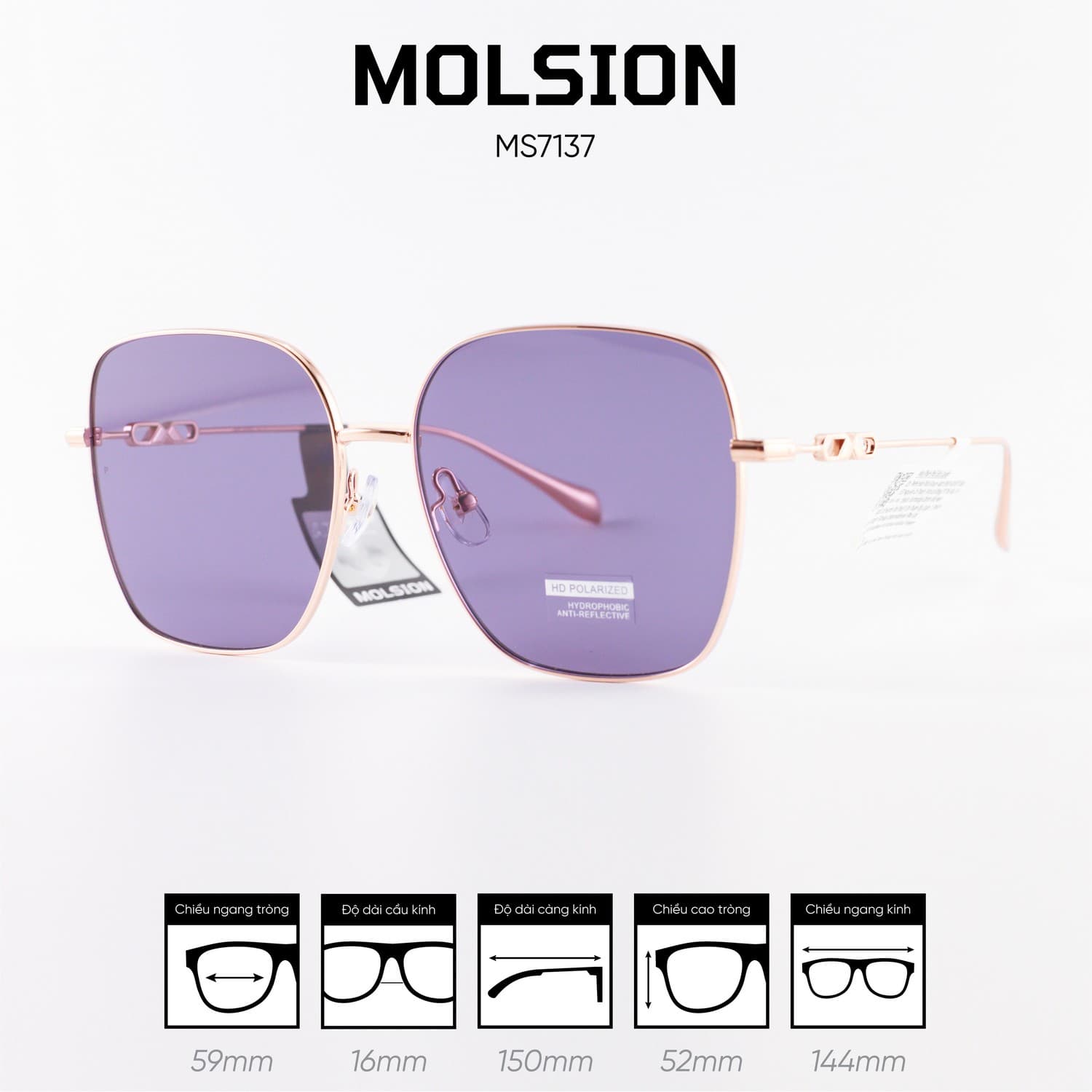 Kính mát MOLSION MS7137 - Ảnh 4