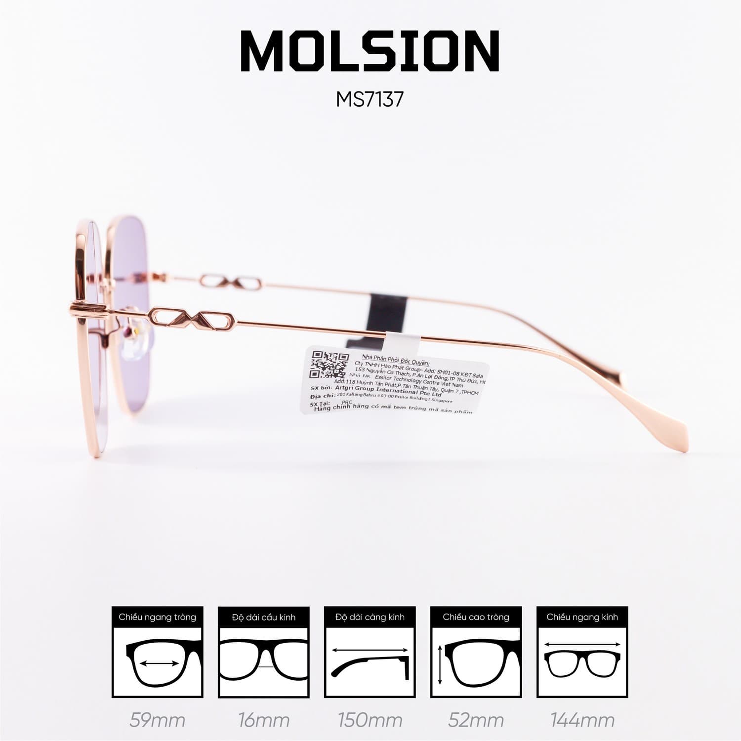 Kính mát MOLSION MS7137 - Ảnh 5