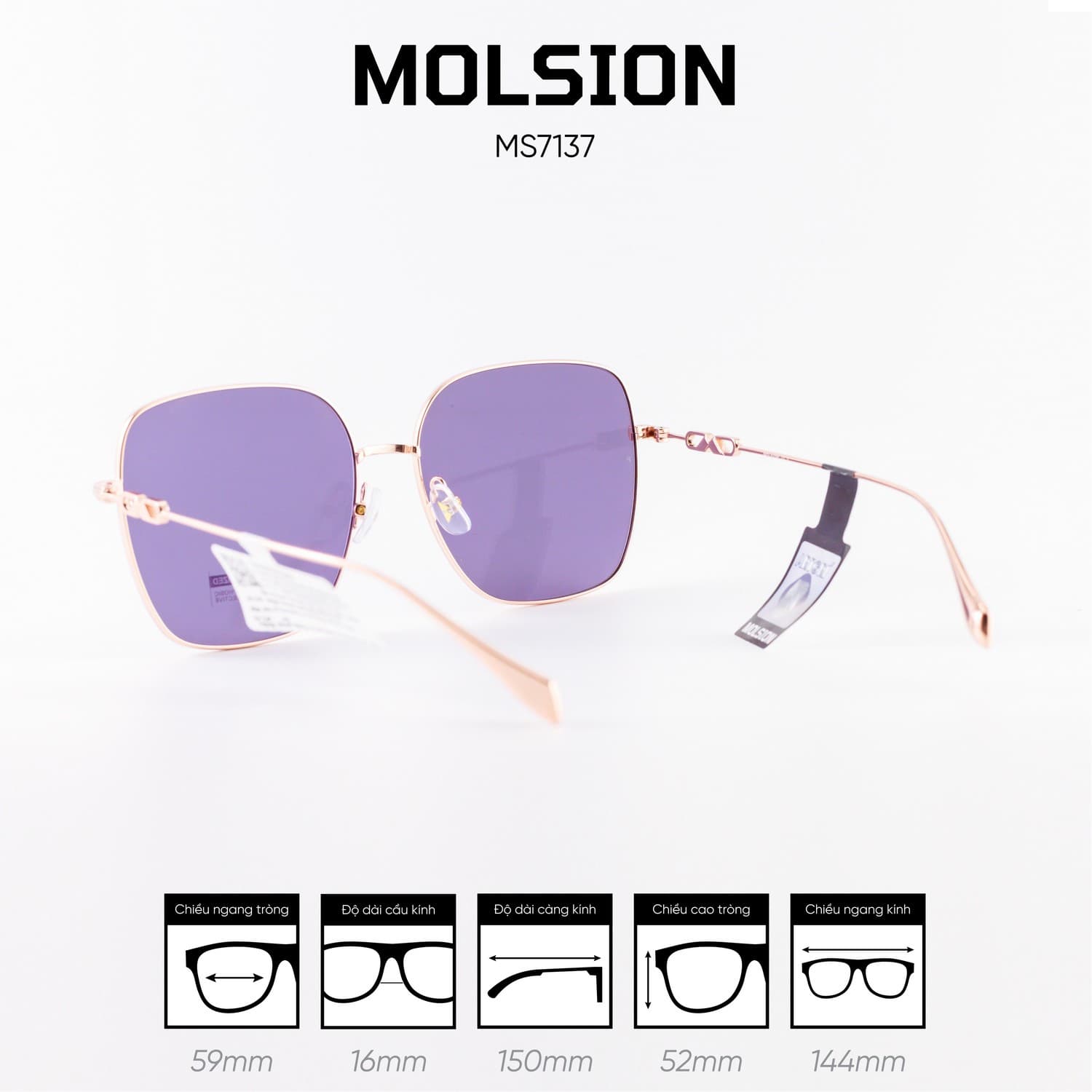 Kính mát MOLSION MS7137 - Ảnh 6