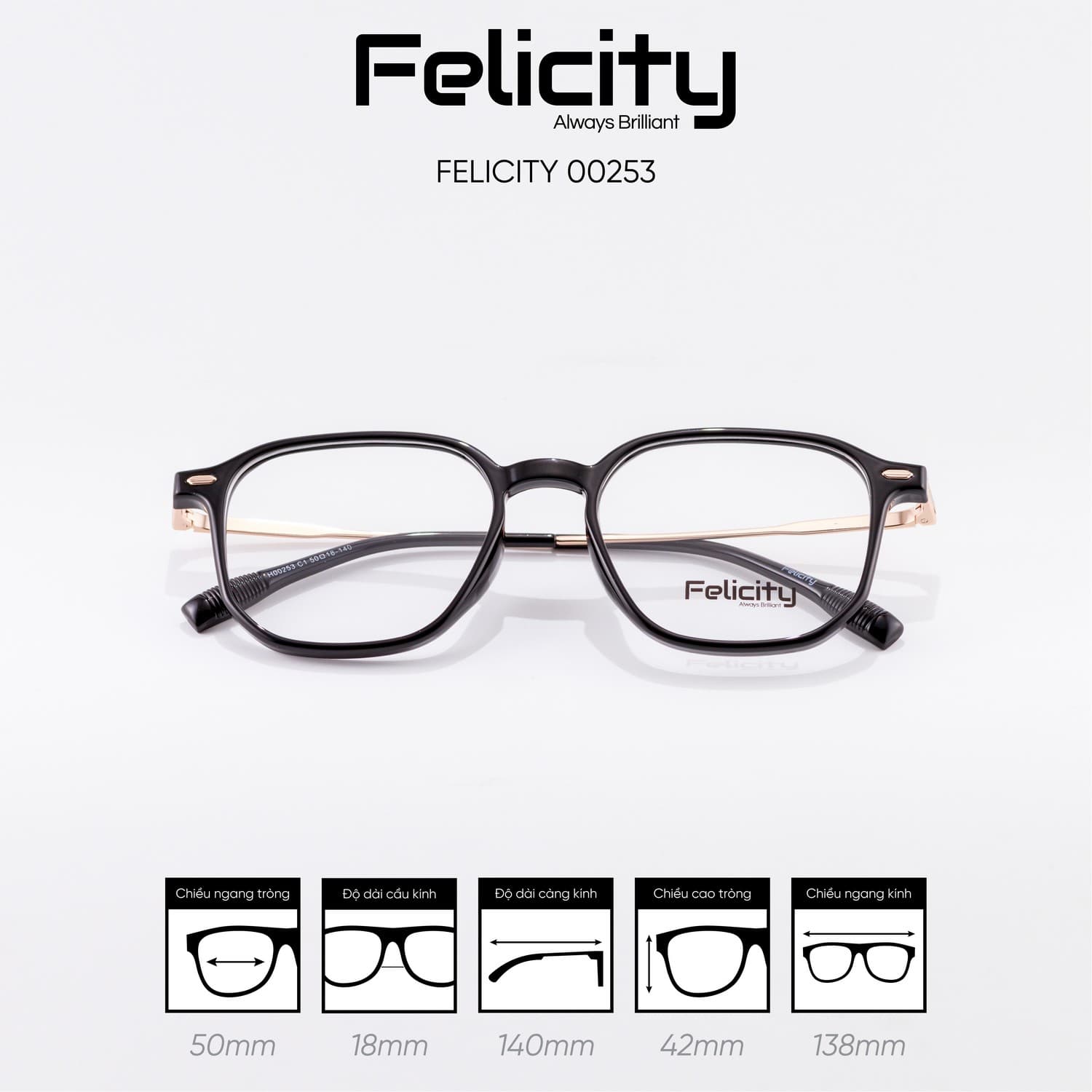 Gọng kính FELICITY 00253 - Ảnh 2