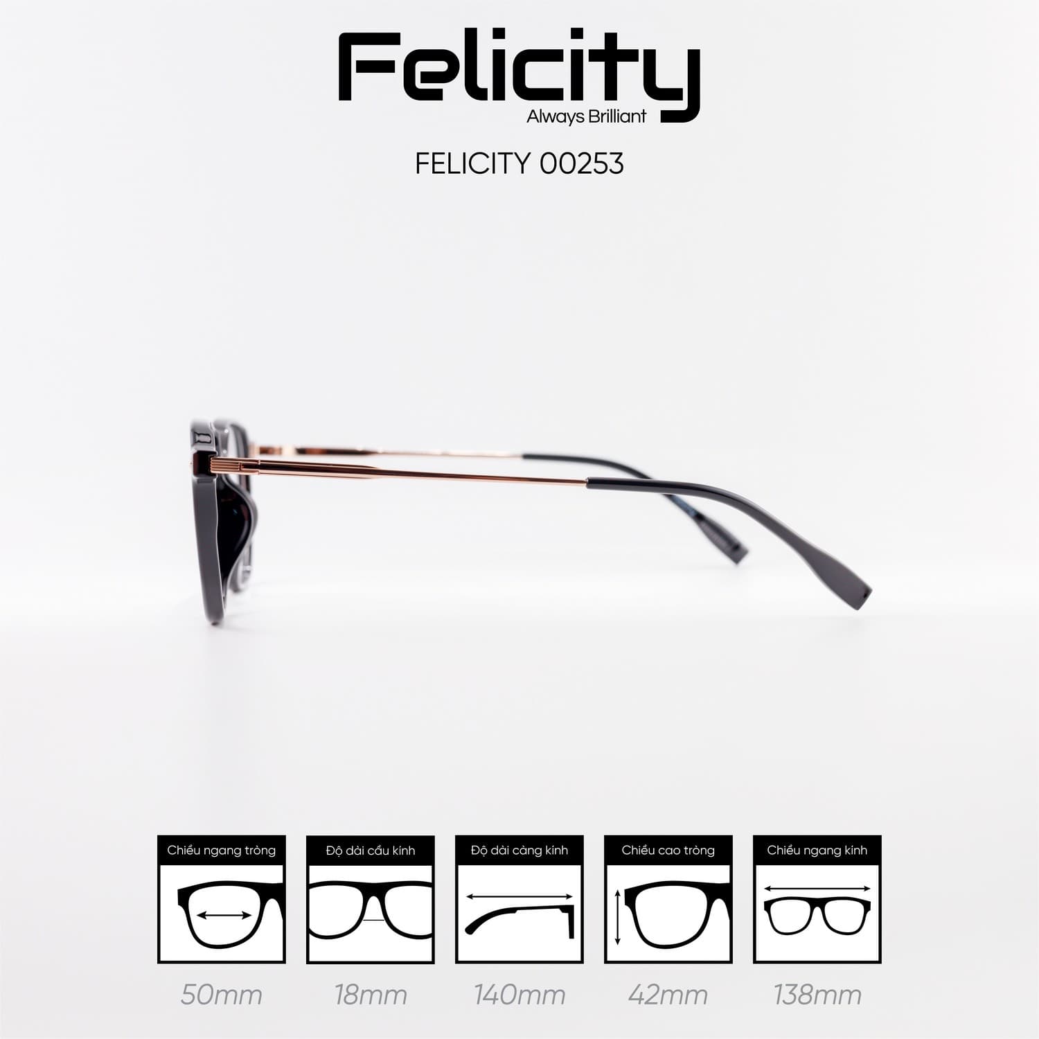 Gọng kính FELICITY 00253 - Ảnh 8